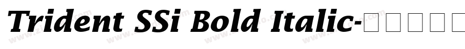 Trident SSi Bold Italic字体转换
